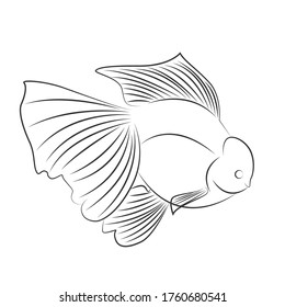 Line Goldfish Oranda Logo Vector Design Stock Vector Royalty Free