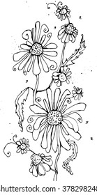  line graphics line art flowers