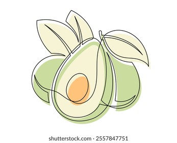 Line green avocado with leaf isolated on white background. Simple silhouette of fruit. Hand drawn avocado outline. Vector illustration