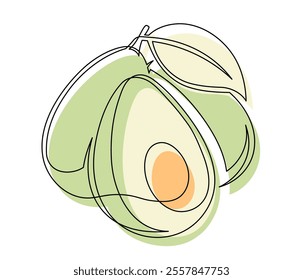 Line green avocado with leaf isolated on white background. Simple silhouette of fruit. Hand drawn avocado outline. Vector illustration