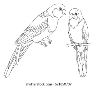 Parrot Color Drawing Images, Stock Photos & Vectors | Shutterstock