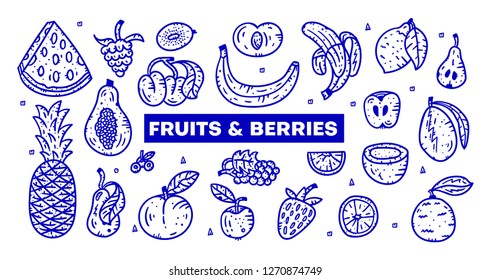 Line hand drawn fruits and berries set. Vector doodle style illustration. White background