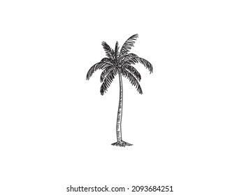 Line Hand drawn of palm tree vector illustrations