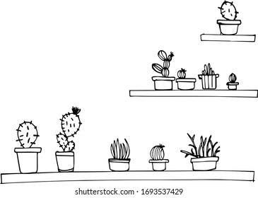 Line hand drawn vector cactuse in the pots on window sill design plant nature cartoon flower symbol pot icon thorn garden collection graphic drawn summer