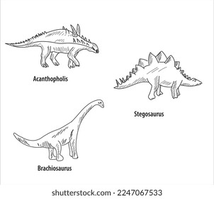 line and hatch drawing 6 dinosaur drawings vector illustration. parasaurolophus, brachiosaurus, spinosaurus, dicraeosaurus, acanthopholis, stegosaurus