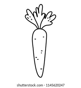 line healthy carrot organic vegetable ingredient