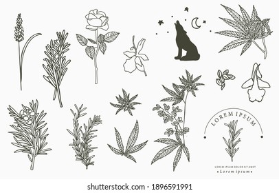 Line Herbal Collection With Rosemary,lavender,cannabis.Vector Illustration For Icon,sticker,printable And Tattoo