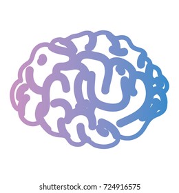 line human brain anatomy to creative and intellect