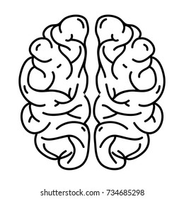 line human brain anatomy to creative and intellect