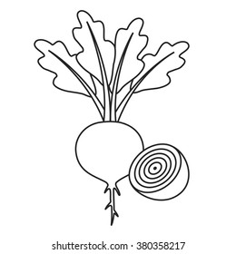 Line icon beet with leaves and half of beet. Vector illustration.