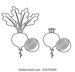 Line icon beet with leaves and half of beet and beet without leaves and with half of beet. Vector illustration.