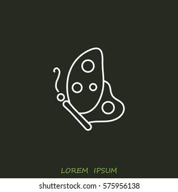 Line icon- butterfly