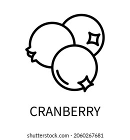 Line Icon Cranberry In Simple Style. Vector sign in a simple style isolated on a white background. Original size 64x64 pixels.