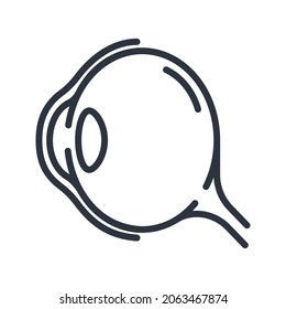 Line Icon Of An Eyeball Side View. Healthcare Symbol Isolated On Transparent Background.