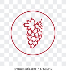 Line icon- grapes