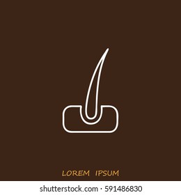 Line icon- hair