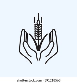 Line icon-  hands and wheat