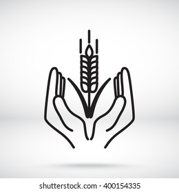 Line icon-  hands and wheat