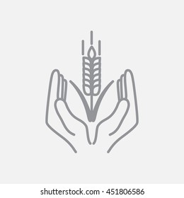 Line icon-  hands and wheat