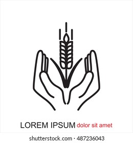 Line icon-  hands and wheat