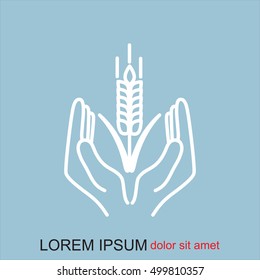 Line icon-  hands and wheat