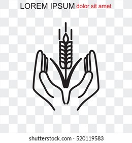 Line icon-  hands and wheat