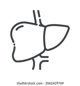 Line icon of human liver organ side view. Healthcare symbol isolated on transparent background.