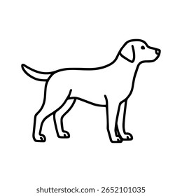 ícone de linha Labrador Recuperador cão vetor no fundo branco
Ícone de vetor da raça do cão no fundo branco