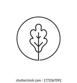 line icon leaf oak vector isolated on white background