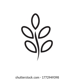 line icon moringa design vector illustration