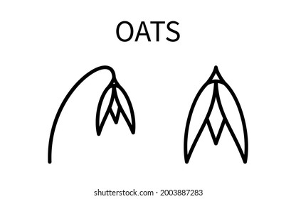 Line Icon Oat In A Simple Style. Vector sign in a simple style isolated on a white background. Original size 64x64 pixels.