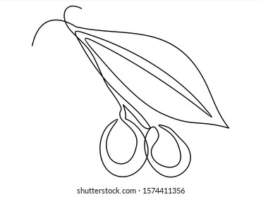 Line icon olives -Continuous one line drawing