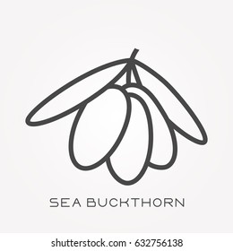 Line Icon Sea Buckthorn