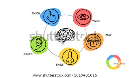 Line icon set five senses. brain nose, eye, hand, ear, mouth vector illustration