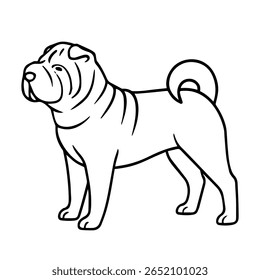 line icon Shar Pei dog vector on white background
Vector icon of dog breed on white background