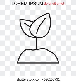 Line icon-  Sprout