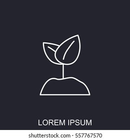 Line icon-  Sprout