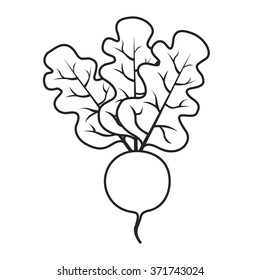 Line icon vegetable radish with leaf. Vector illustration.