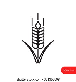 Line icon- wheat 