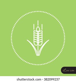 Line icon- wheat 