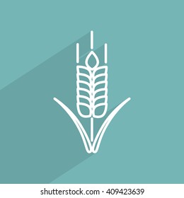 Line icon- wheat 