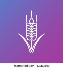 Line icon- wheat 