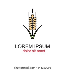 Line icon- wheat 