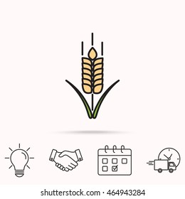 Line icon- wheat 