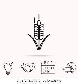 Line icon- wheat 