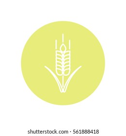 Line icon- wheat 