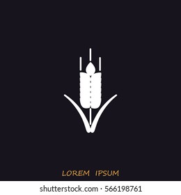 Line icon- wheat 