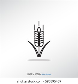 Line icon- wheat 