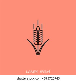 Line icon- wheat 