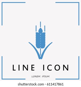 Line icon- wheat 